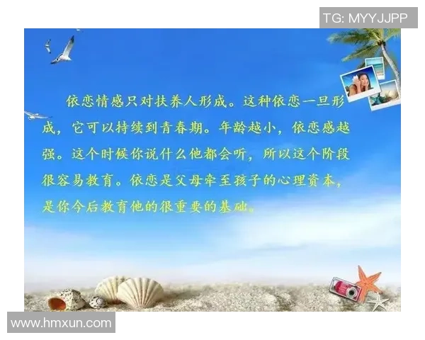 武汉篮球队心理素质排名第六揭秘球队成功背后的心理因素