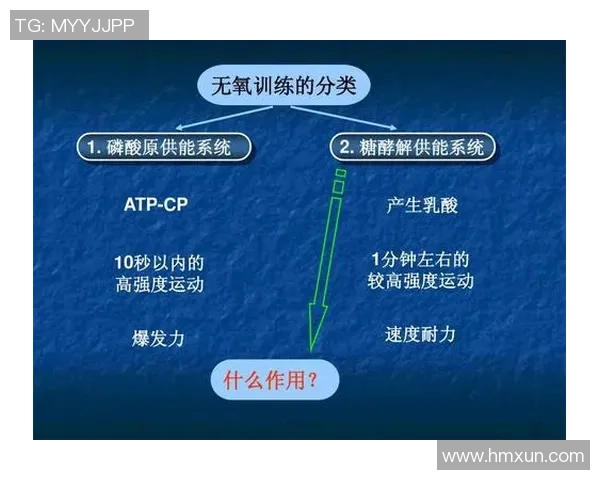 武汉羽毛球队反击战术解析与实战应用探讨